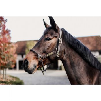 Kentucky Rope Halter